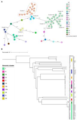 Evaluation of Fourier Transform Infrared Spectroscopy as a First-Line Typing Tool for the Identification of Extended-Spectrum β-Lactamase-Producing Klebsiella pneumoniae Outbreaks in the Hospital Setting